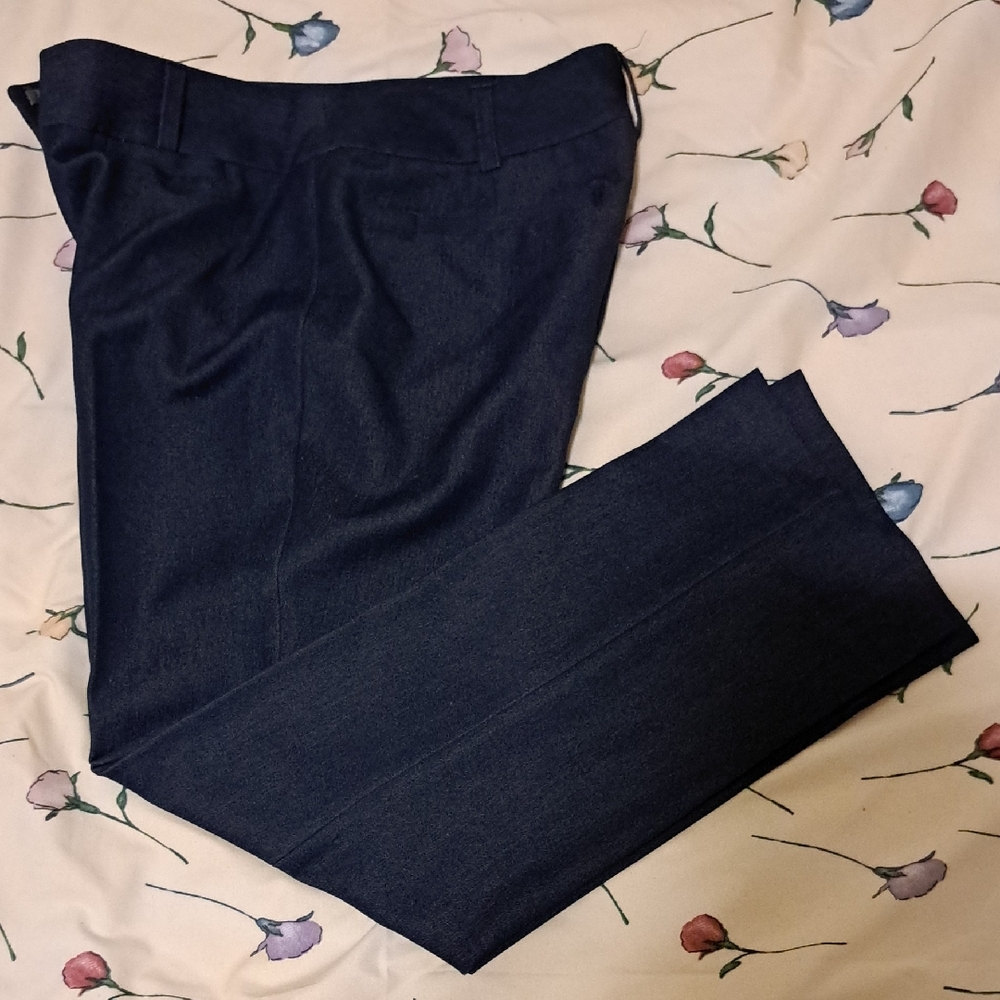 Chelsea & Theodore Women's Dark Blue Chinos